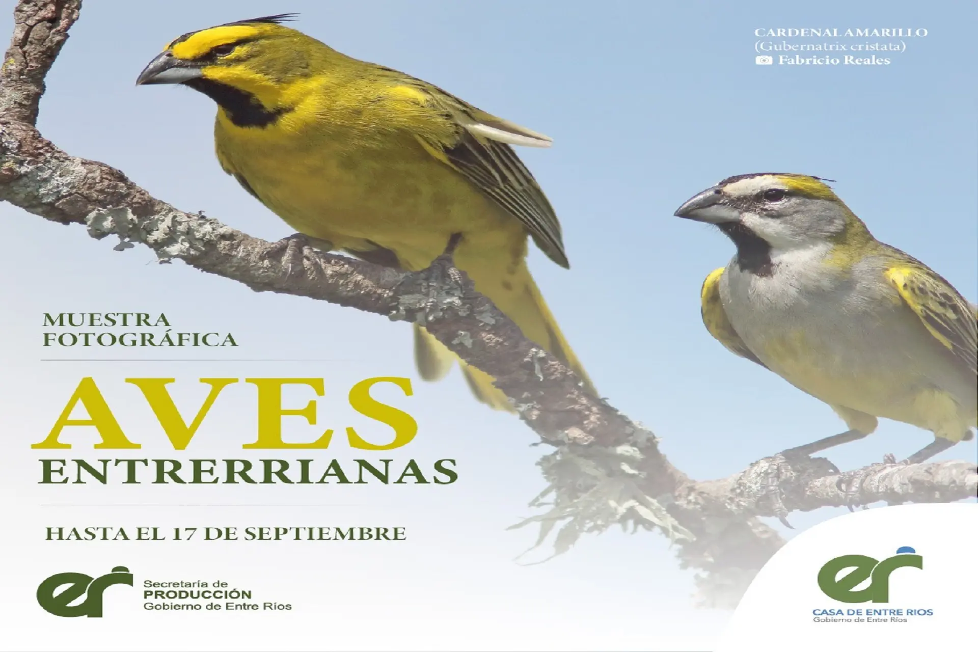 aves de entre rios - Cuáles son los animales autoctonos de Entre Ríos