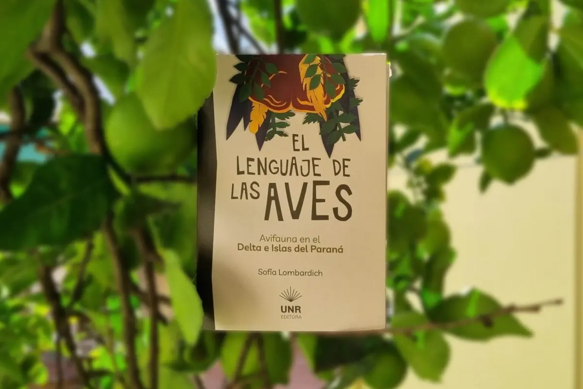 El lenguaje de las aves - Cuáles son los diferentes tipos de lenguaje el lenguaje de las aves - Cuáles son los diferentes tipos de lenguaje
