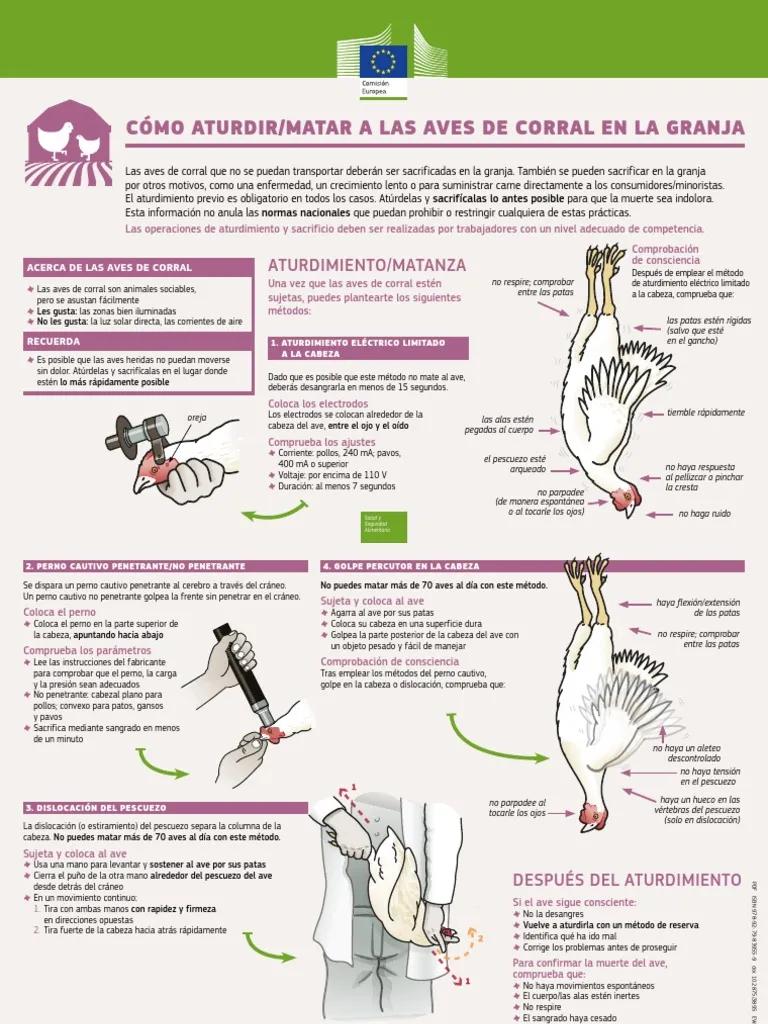 metodos de sacrificio en aves - Cuáles son los métodos de sacrificio aceptados para peces