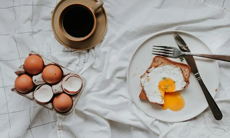huevos de aves - Cuáles son los tipos de huevos