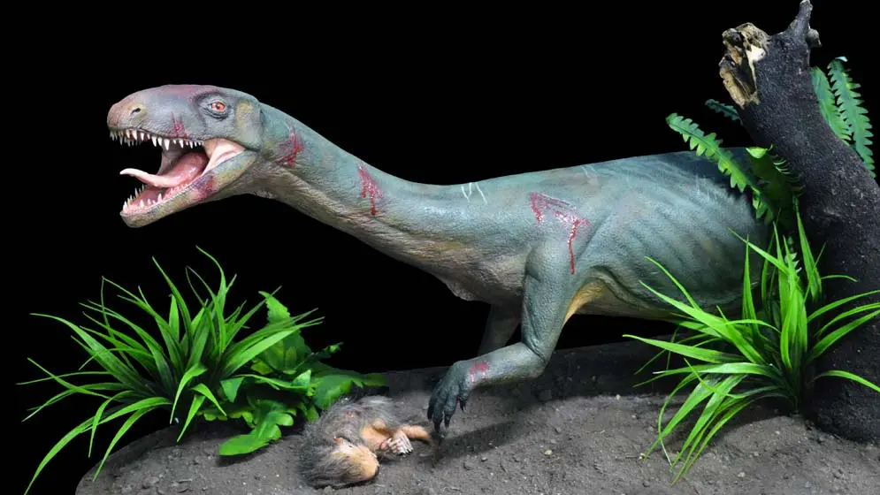 El Antecesor de Anfibios y Aves: Un Vínculo Fascinante en la Evolución - Cuándo aparecieron los anfibios y los reptiles antecesor de anfibios y aves - Cuándo aparecieron los anfibios y los reptiles