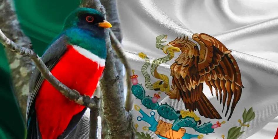 bandera de mexico con el pajaro al revesa - Cuándo se coloca la bandera al revés