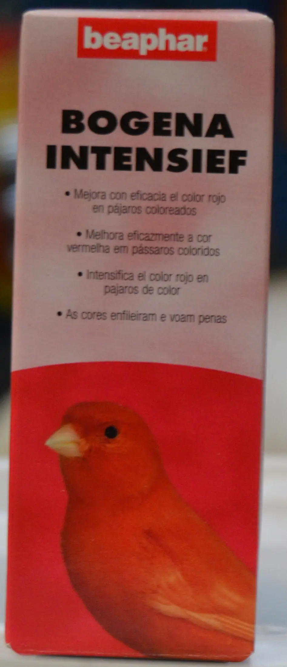 colorante rojo para pájaros - Cuándo se pigmentan los canarios rojos