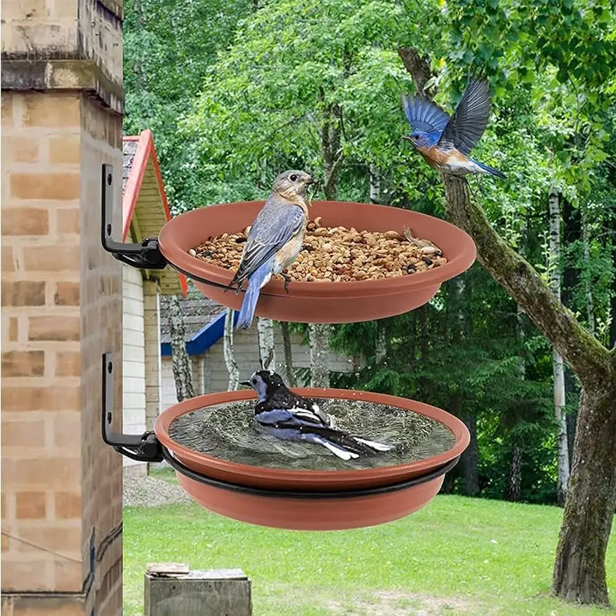 Bebederos para aves de jardín: una fuente de hidratación esencial - Cuántas aves por bebedero bebederos para aves jardin - Cuántas aves por bebedero