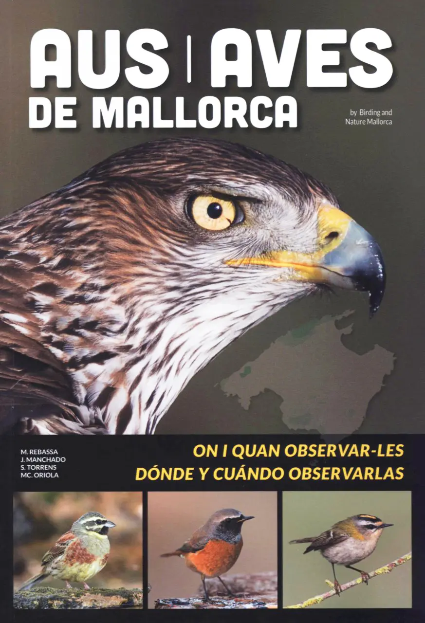 pájaros de mallorca - Cuántas clases de pájaros hay en España