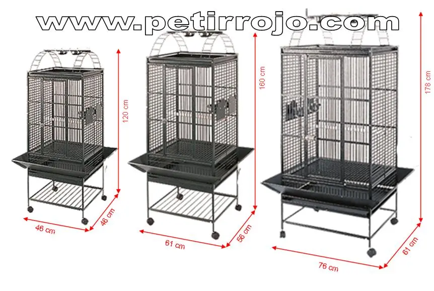 medidas de jaulas para pajaros - Cuánto debe medir la jaula de un canario