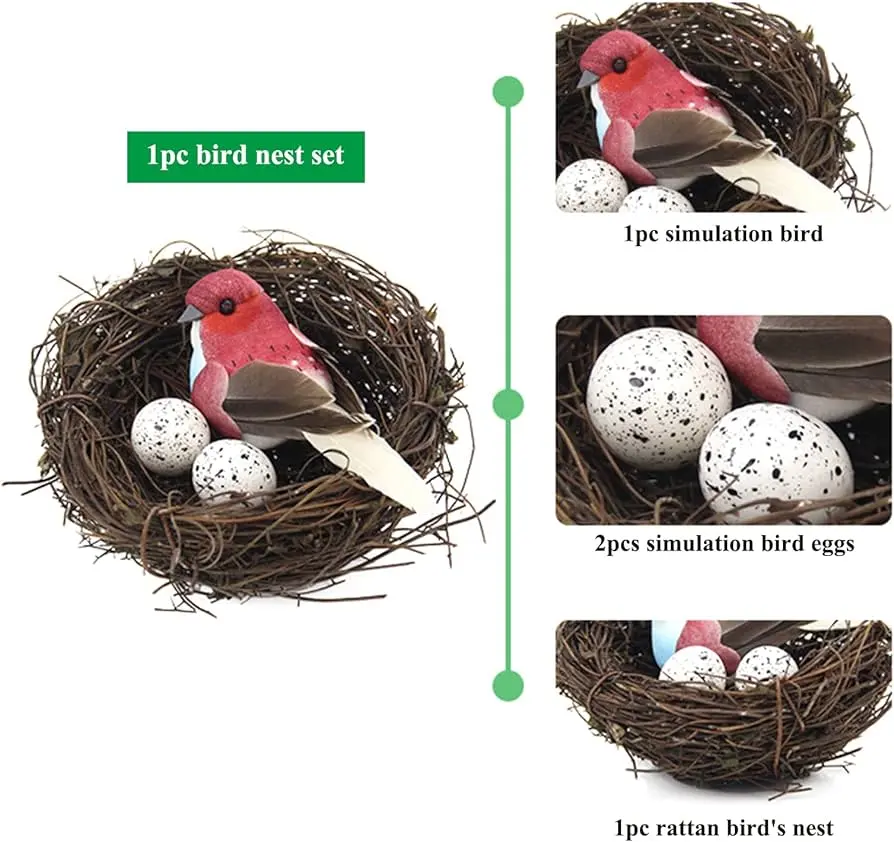 Ceibo con nidos y pájaros - Cuánto tarda en crecer un árbol de ceibo ceibo con nidos y pajaros - Cuánto tarda en crecer un árbol de ceibo