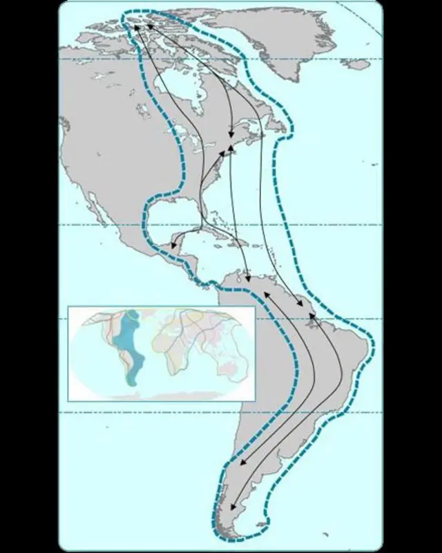 migracion de aves en america - Cuánto tiempo dura la migración de las aves