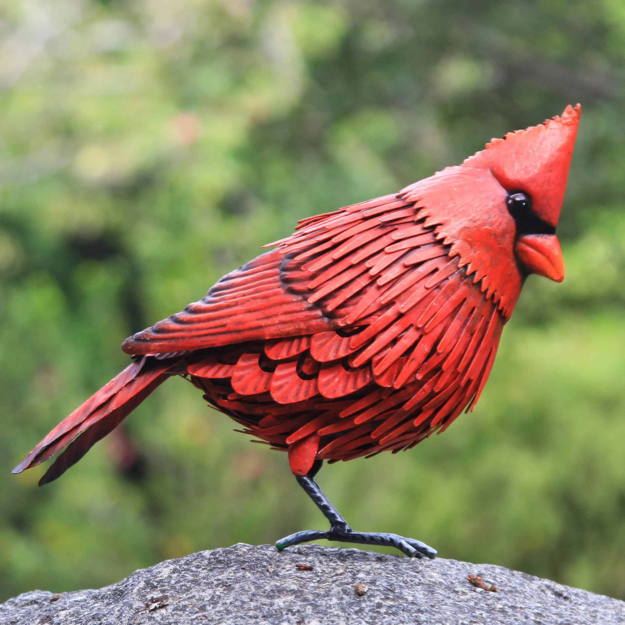 precio de un pajaro cardenal rojo - Cuánto vale un cardenal rojo