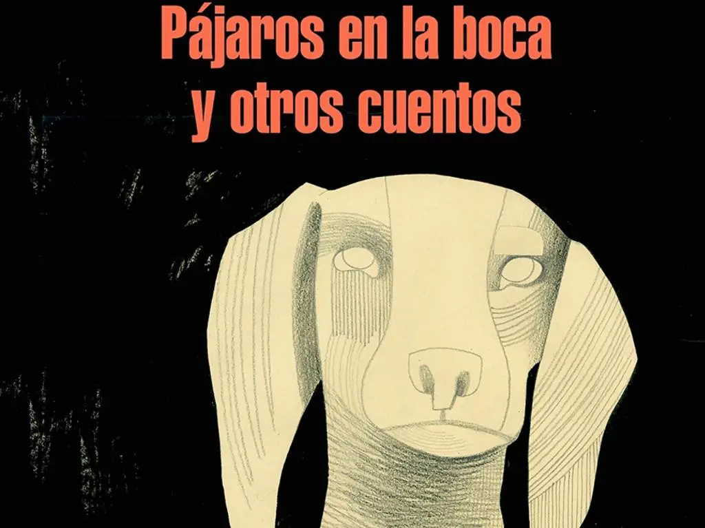 Pájaros en la boca: Una colección de cuentos de Samanta Schweblin - Cuántos cuentos tiene Pájaros en la boca pajaros en la boca - Cuántos cuentos tiene Pájaros en la boca
