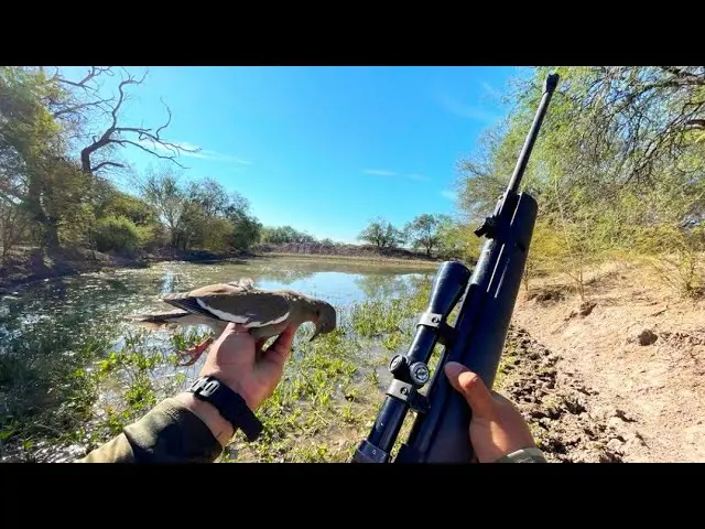 caza de pajaros con carabinas de aire comprimido - Cuántos FPS tiene un rifle de aire comprimido