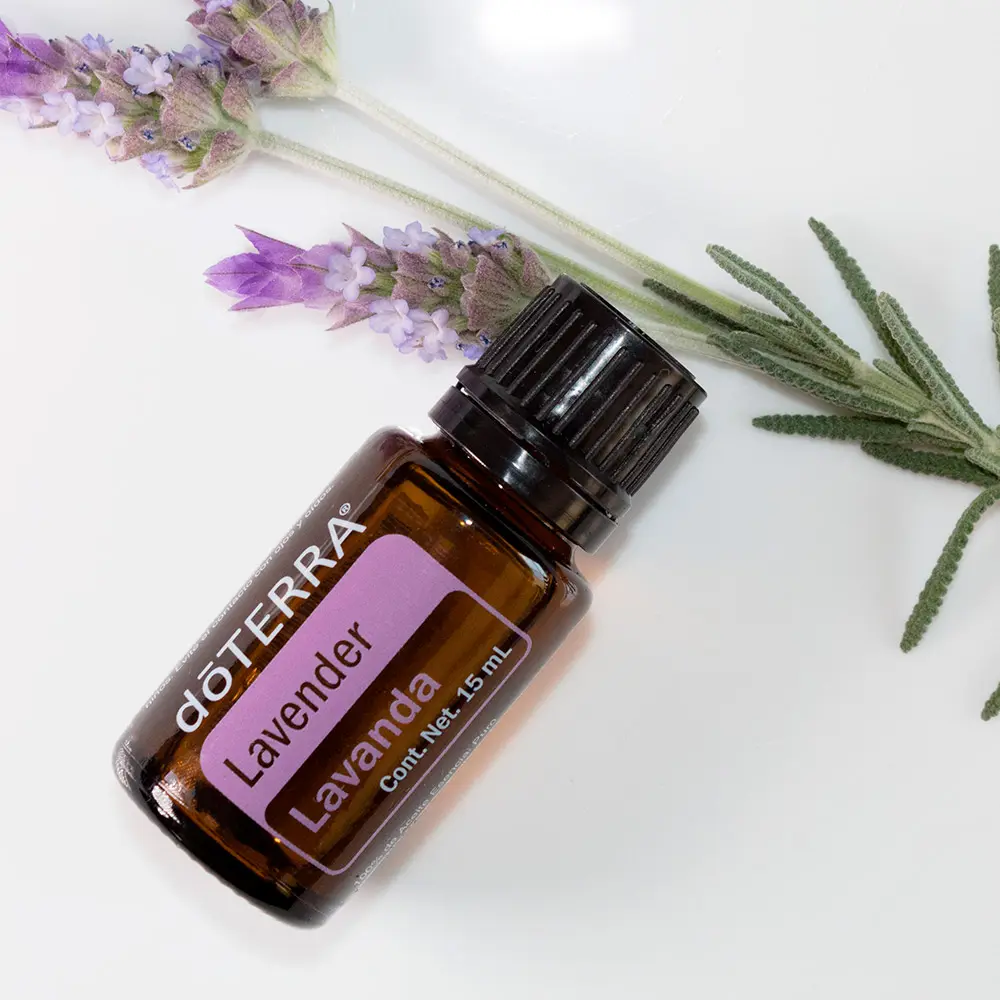 aceite esencial de lavanda pajaro tigre - Dónde poner aceite de lavanda en el cuerpo