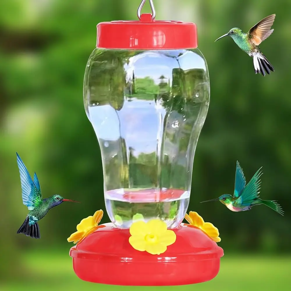 bebederos para pajaros colibri - Dónde poner el bebedero de los colibríes