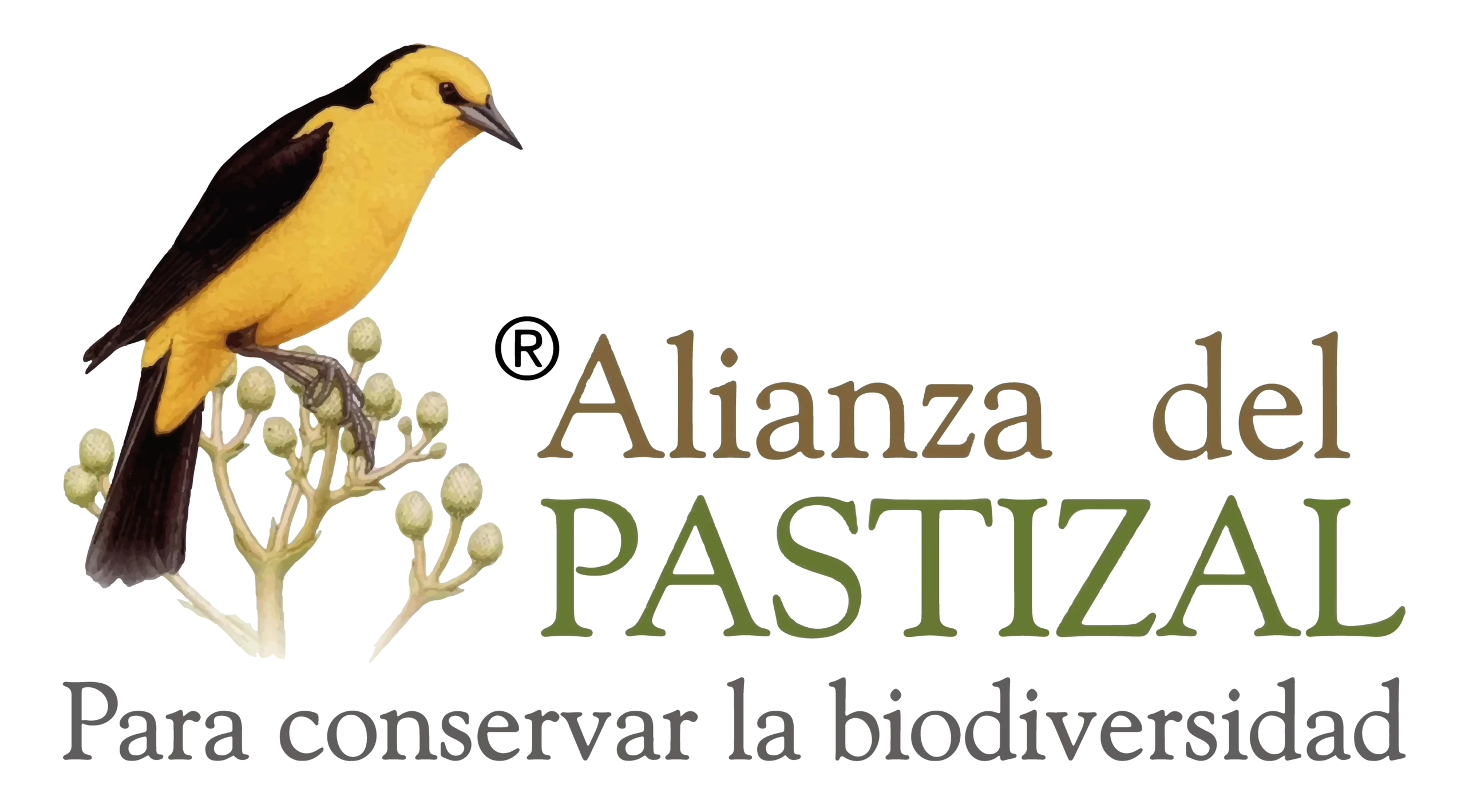 alianza del pastizal de aves argentinas - Dónde se encuentran los pastizales en Argentina