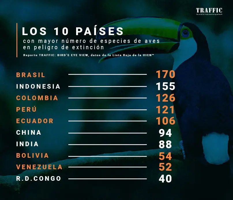 a donde se exportan las aves - Dónde se exporta el pollo