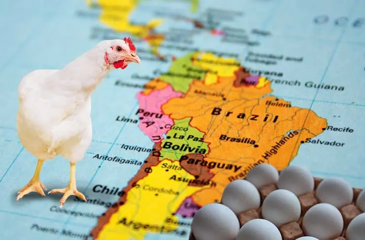 areas de produccion de aves en argentina - Dónde se produce el pollo en Argentina