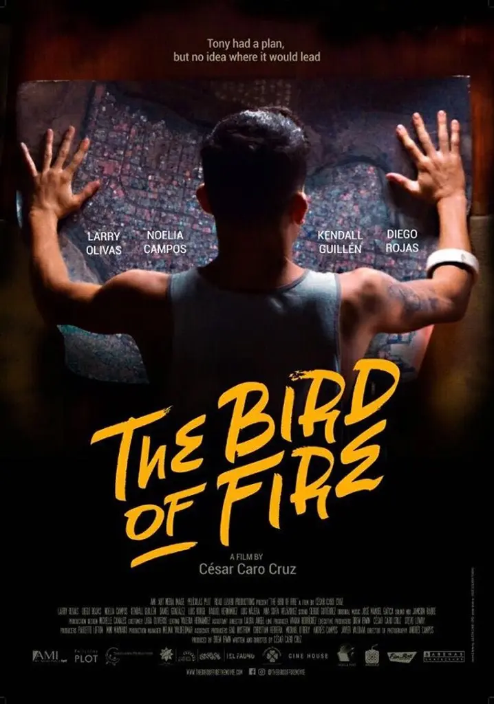 Pájaros de fuego los tres: La metáfora musical que perdura en la memoria - Dónde ver pájaros de fuego pájaros de fuego los tres - Dónde ver pájaros de fuego