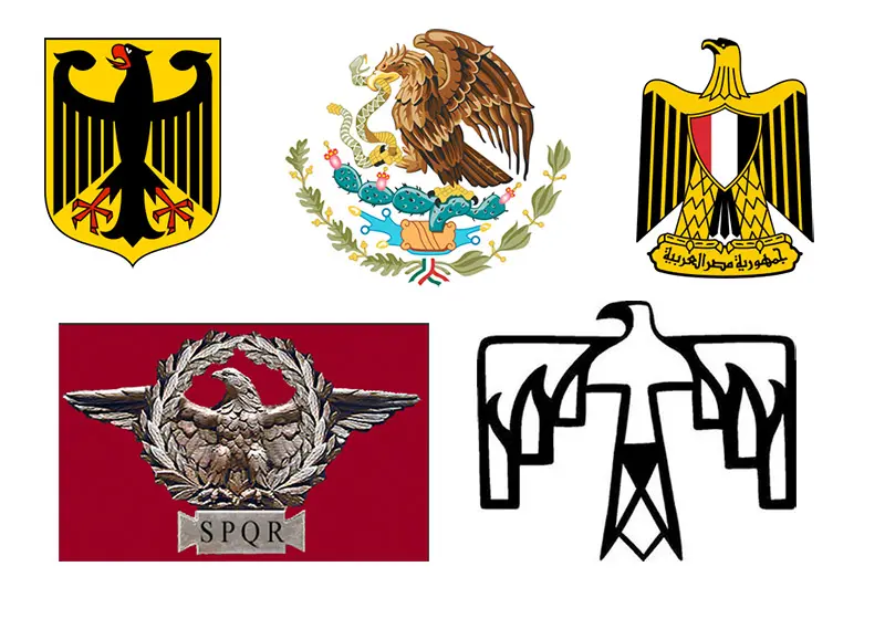 El águila dorada: una majestuosa ave rapaz - Por qué las águilas son tan especiales aguila dorada ave rapas - Por qué las águilas son tan especiales