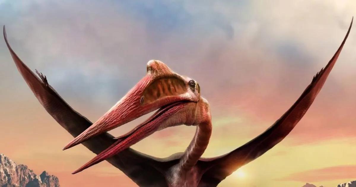 Cadera de ave: La diferencia con la cadera de reptil - Por qué los reptiles marinos y voladores no se consideran dinosaurios cadera de ave - Por qué los reptiles marinos y voladores no se consideran dinosaurios