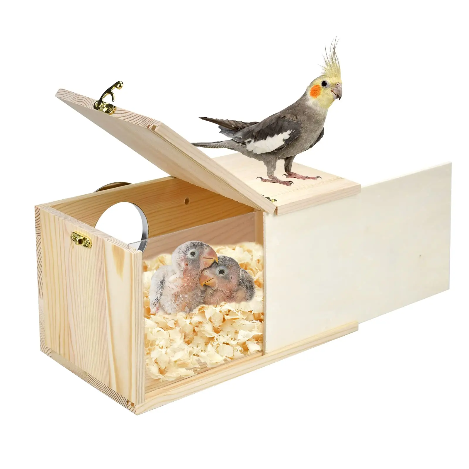 beet box caja de pajaros - Por qué se tapan los ojos en Bird Box
