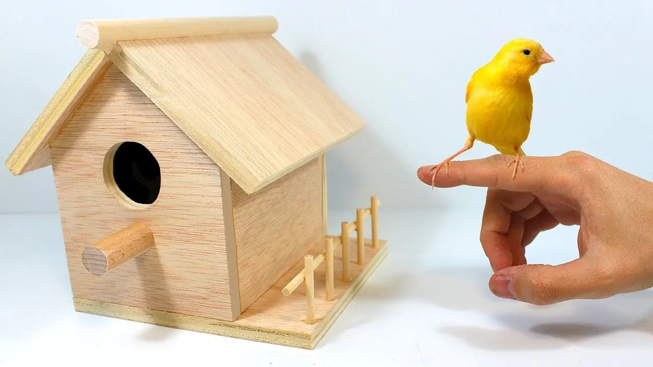 Cómo hacer una casita de madera para pájaros - Puedes hacer pajareras con madera tratada com9 hacer una casita de madera para pajaros - Puedes hacer pajareras con madera tratada