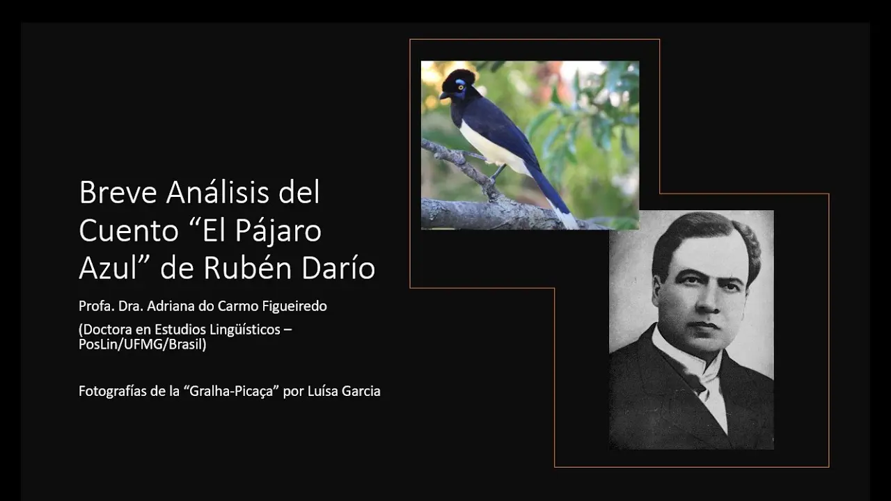 analisis del pajaro azul - Qué actitud tiene el pájaro azul