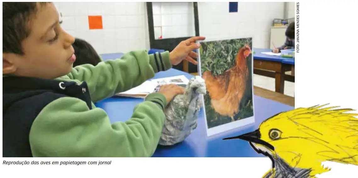Acto escolar de aves e insectos: una forma divertida de aprender sobre la biodiversidad - Qué actividades realizan los insectos acto escolar de aves e insectos - Qué actividades realizan los insectos