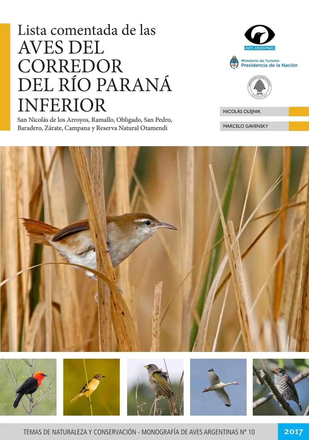 aves del delta del parana - Qué animales hay en el Delta del Paraná