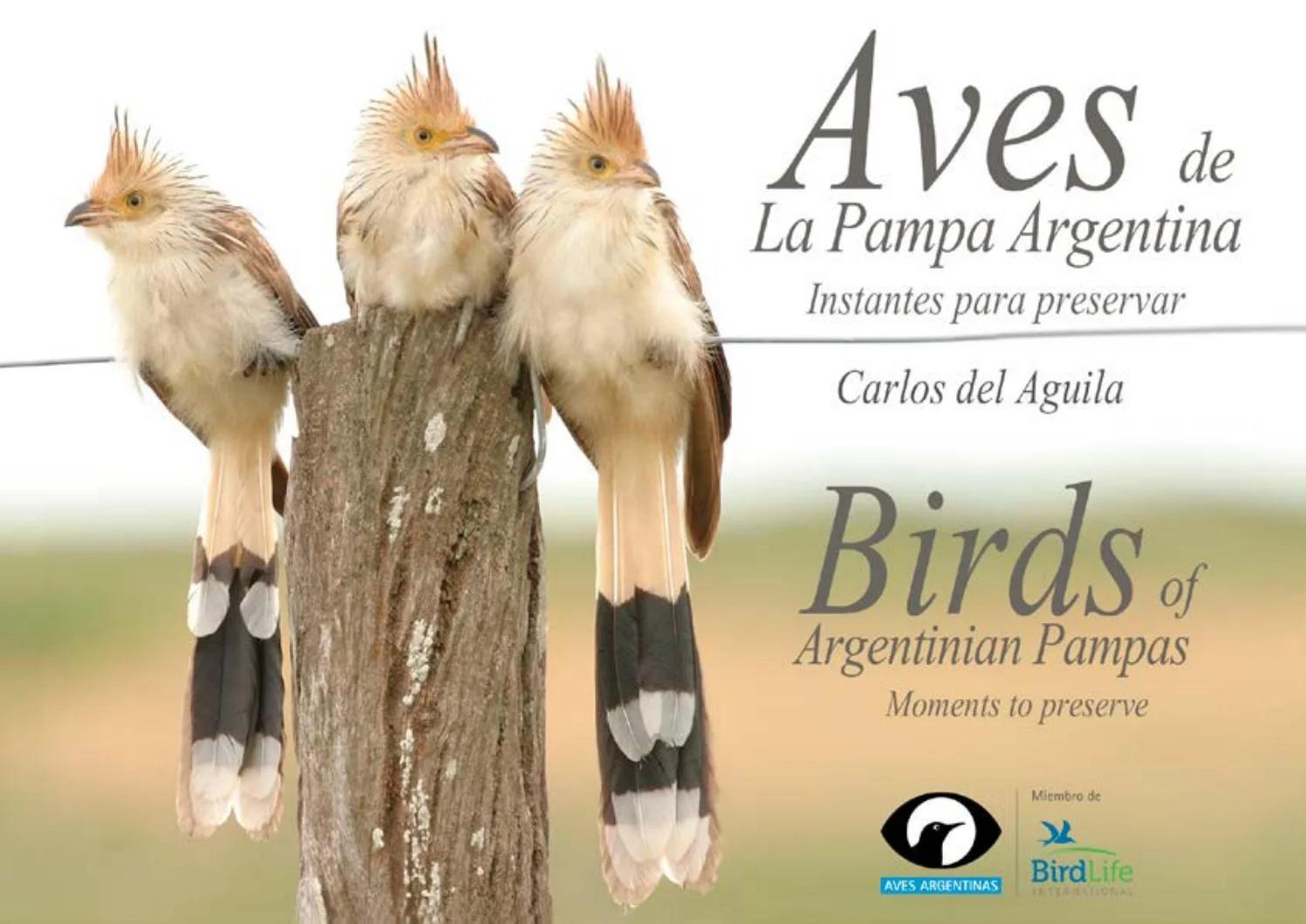 ave carroñera mar de las pampas - Qué animales hay en Mar de las Pampas