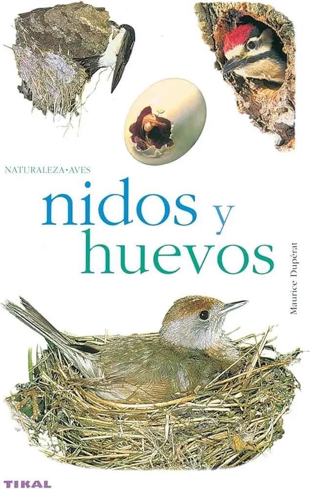 nidos y huevos de aves - Qué ave pone huevos en los nidos