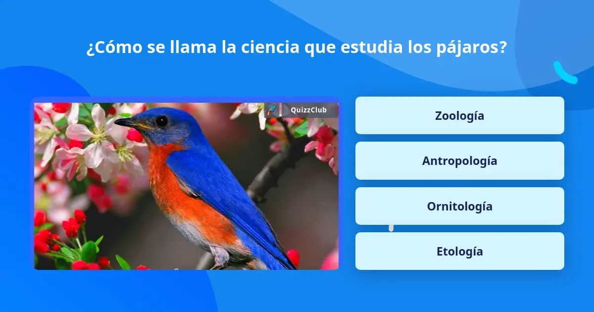 que estudia las aves - Qué aves estudia el ornitólogo