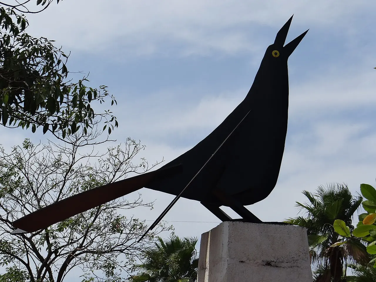 pajaro tipico de cartagena - Qué aves hay en Cartagena