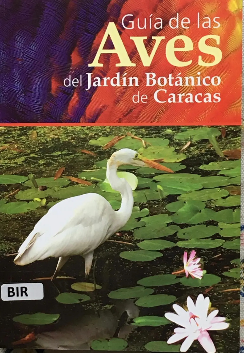 aves del jardin botanico - Qué aves hay en el jardín botánico