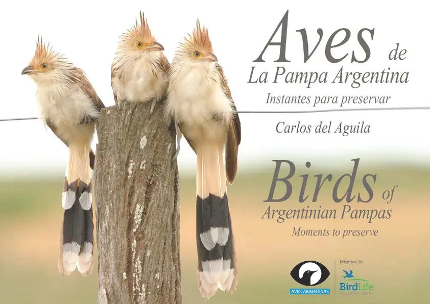 aves de la pampa - Qué aves hay en La Pampa