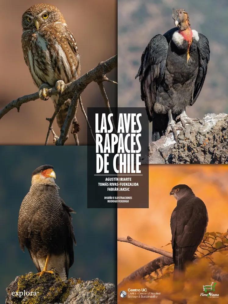 tipos de aves rapaces en chile - Qué aves rapaces hay en Chile