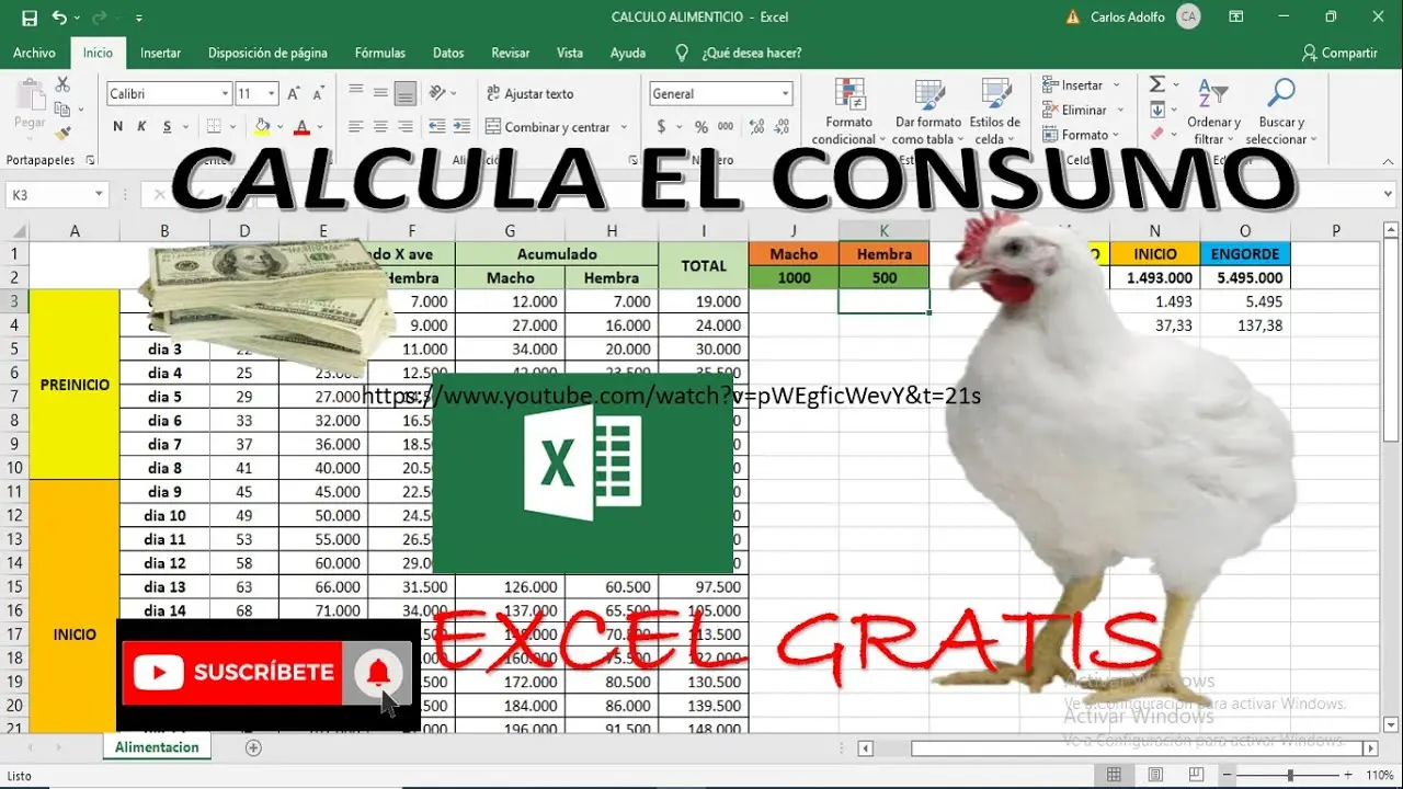Alimento línea Enercop para aves: Tabla de alimentación - Qué cantidad de alimento se necesita para 100 pollos alimento linea enercop para aves tabala de alimentacion - Qué cantidad de alimento se necesita para 100 pollos
