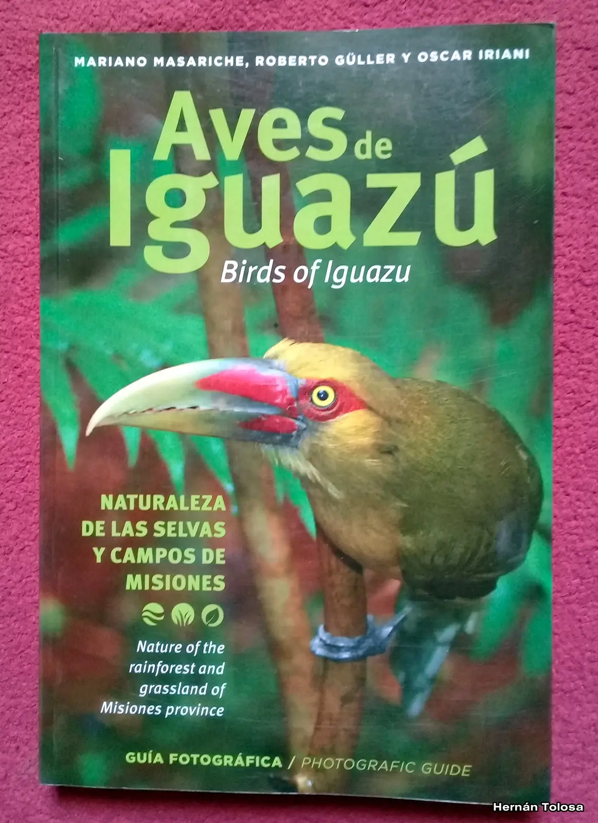 aves características de iguazu - Qué características tiene las Cataratas de Iguazú