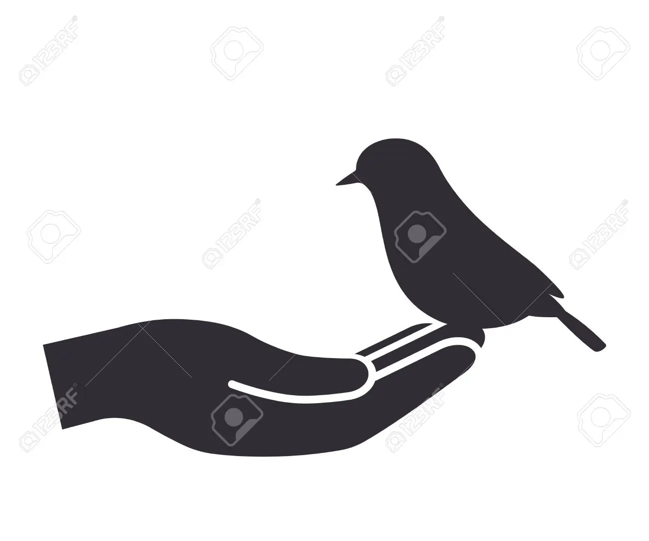 Ave en mano: Más vale pájaro en mano que cien volando - Que cien volando ave en mano - Que cien volando