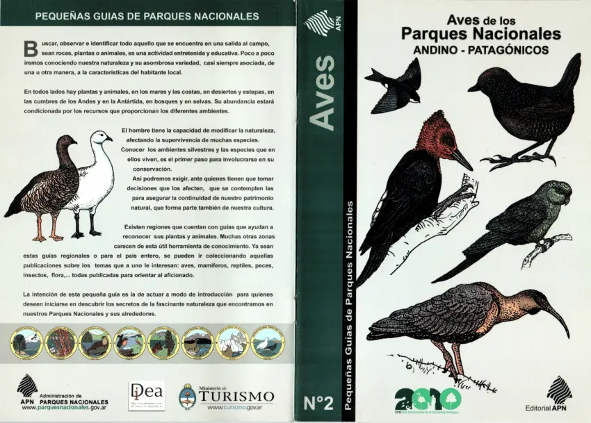 aves características de los bosques argentinos - Qué comen las aves del bosque