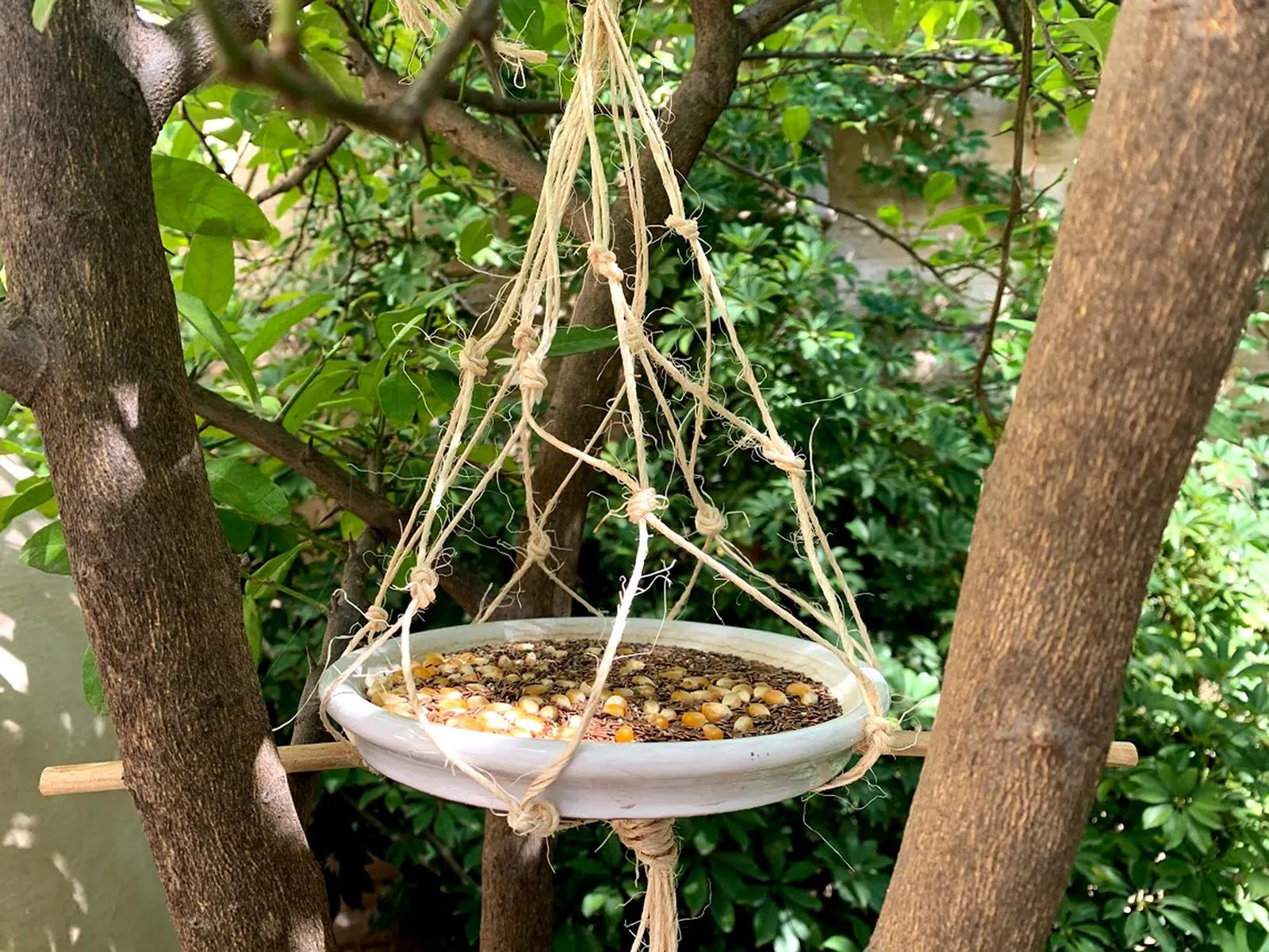 comederos caseros para aves silvestres - Qué comida poner para pájaros silvestres