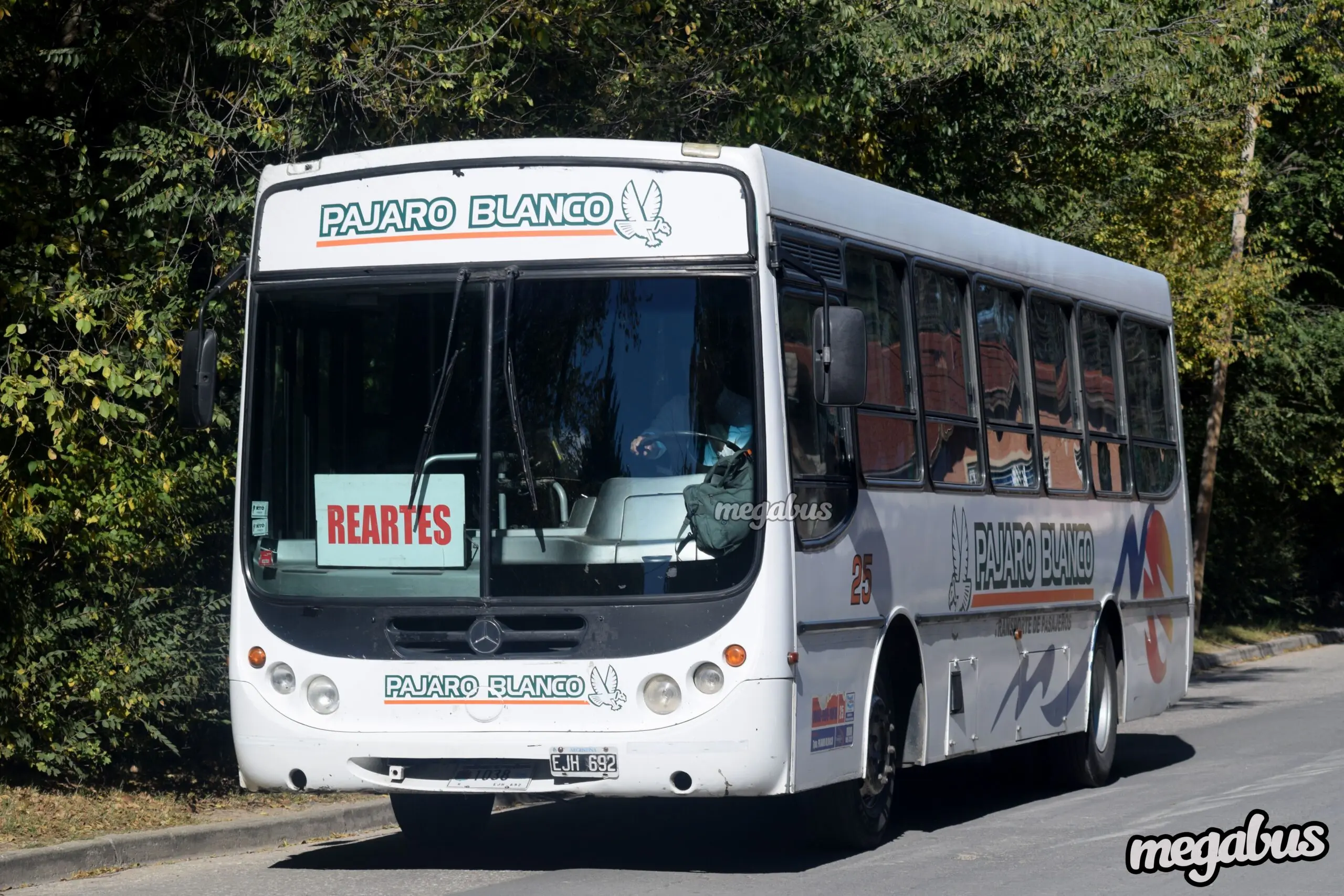 Empresa Pájaro Blanco Córdoba: La mejor opción para aves, loros y guacamayos - Qué empresa va a La Cumbrecita empresa pajaro blanco cordoba - Qué empresa va a La Cumbrecita