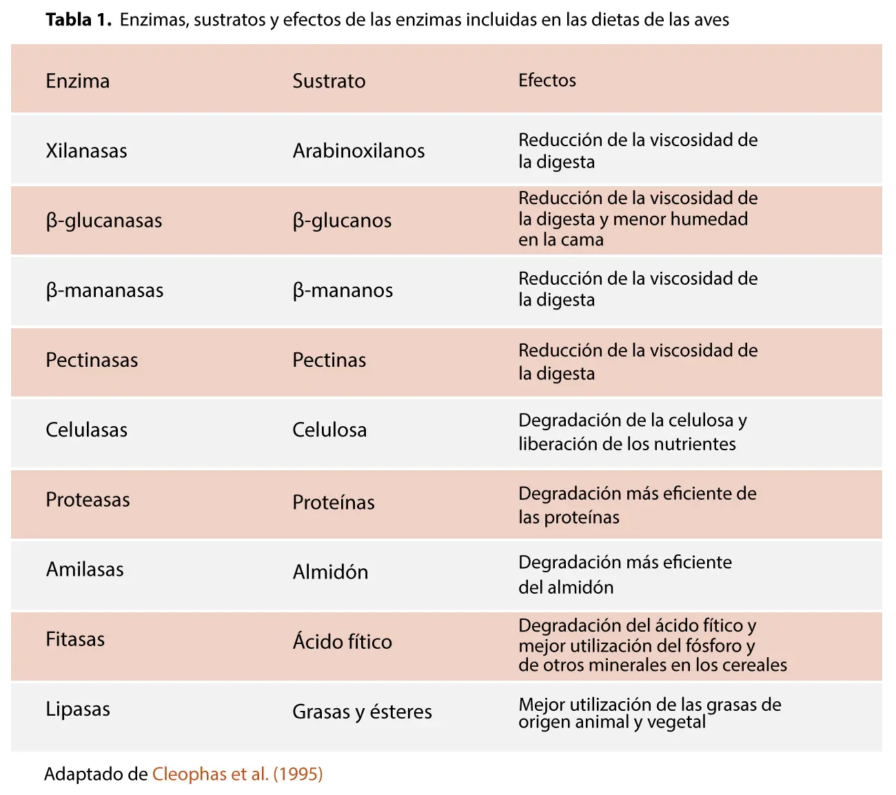 Enzimas en aves: Función y tipos - Qué enzimas contiene la carne de pollo enzimas en aves - Qué enzimas contiene la carne de pollo