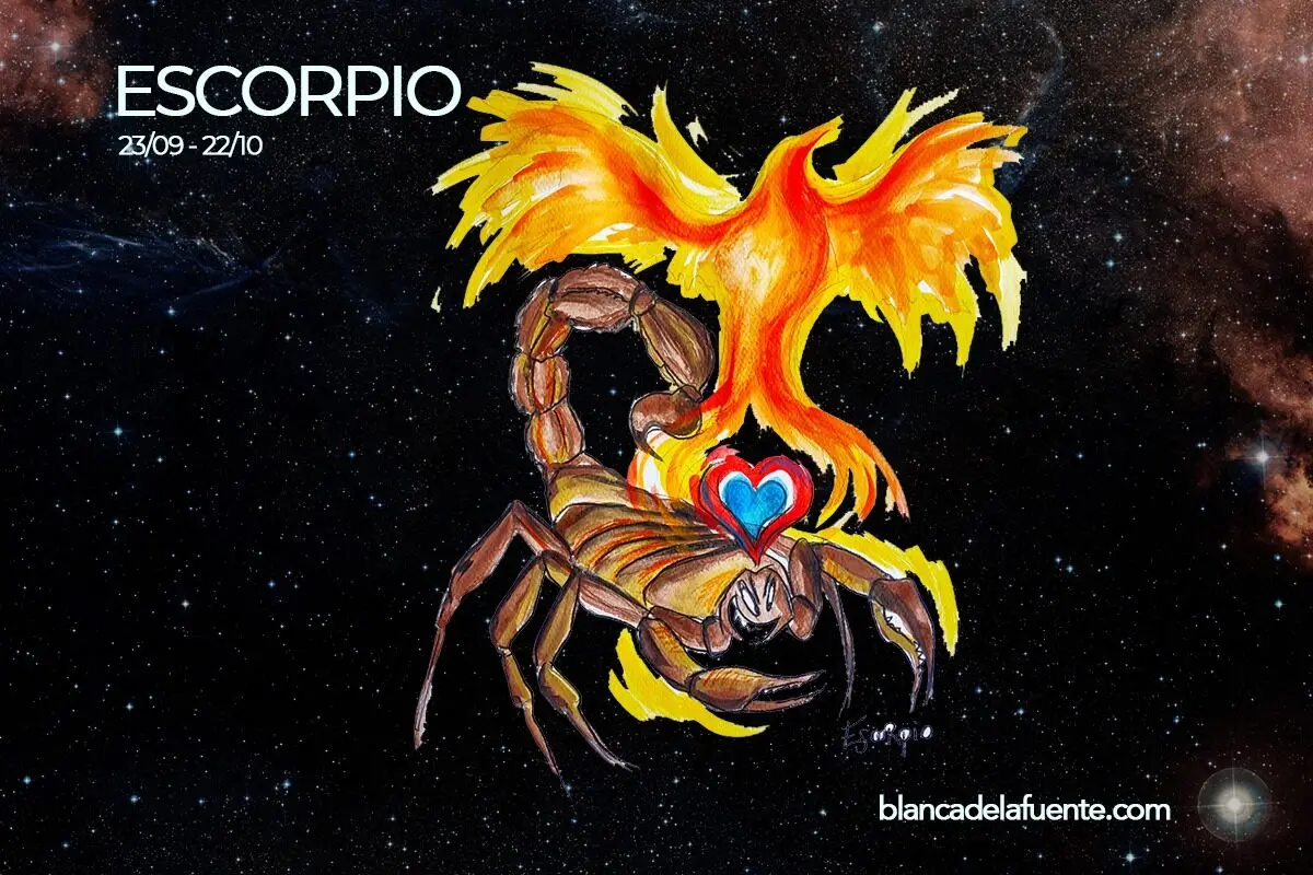 Escorpio renace como el ave fénix - Qué es el ave Escorpio escorpio renace como el ave fenix - Qué es el ave Escorpio