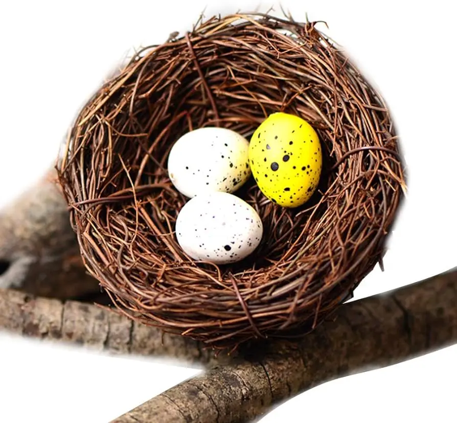 Marca Nido de Pájaros: Creando Hogares para Nuestras Amigas Aladas - Qué es la empresa Nestlé marca nido de pajaros - Qué es la empresa Nestlé