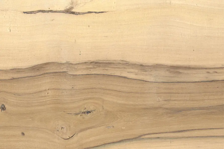 ¿Cómo curar la madera de un loro blanco? - Qué es lo mejor para curar la madera como curar madera loro blanco - Qué es lo mejor para curar la madera
