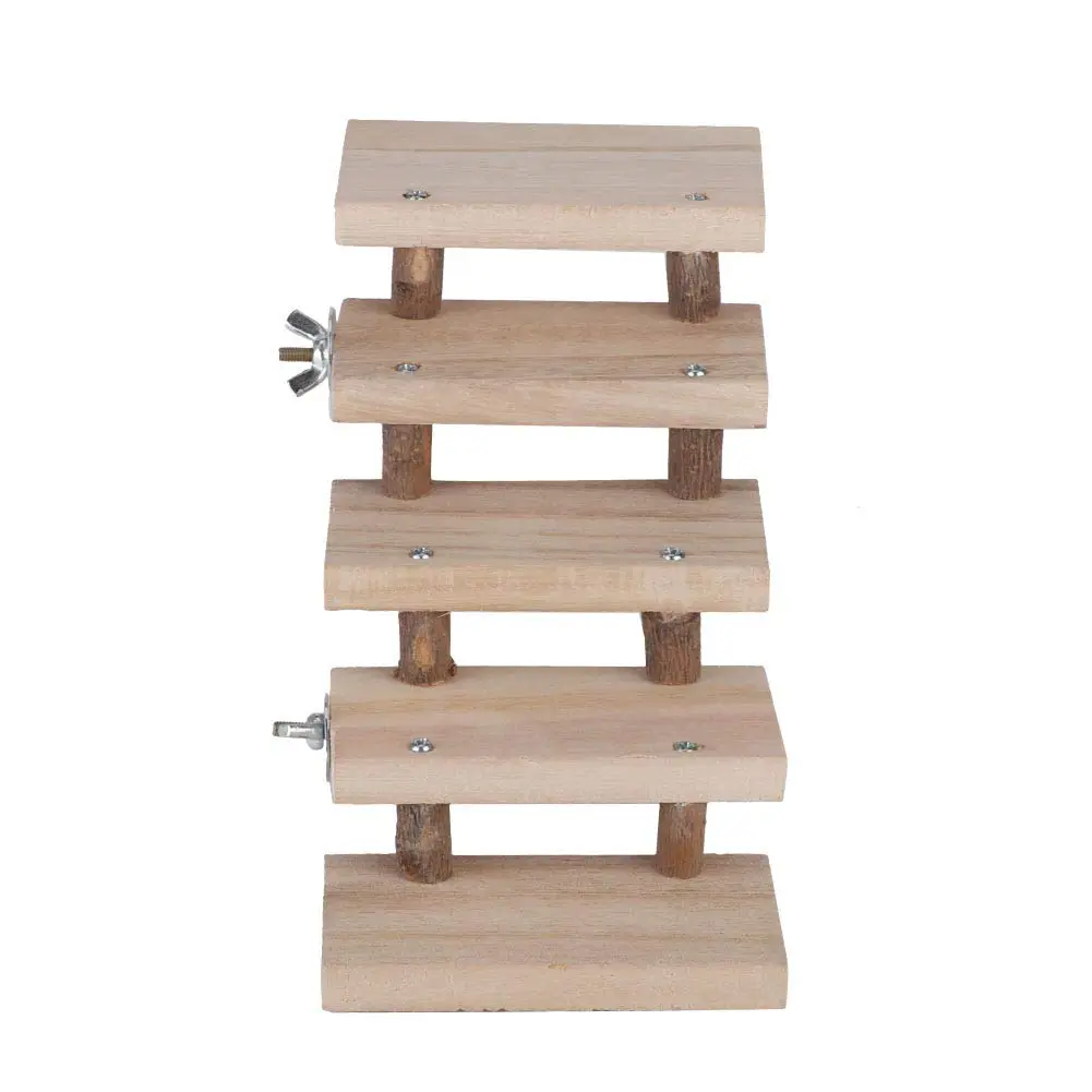 Madera loro negro escalera: una opción para la diversión de tus aves - Qué es mejor guatambú o paraíso madera loro negro escalera - Qué es mejor guatambú o paraíso