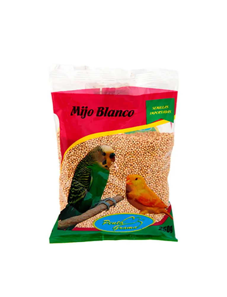 que es el mijo para aves - Qué es mijo para pájaros