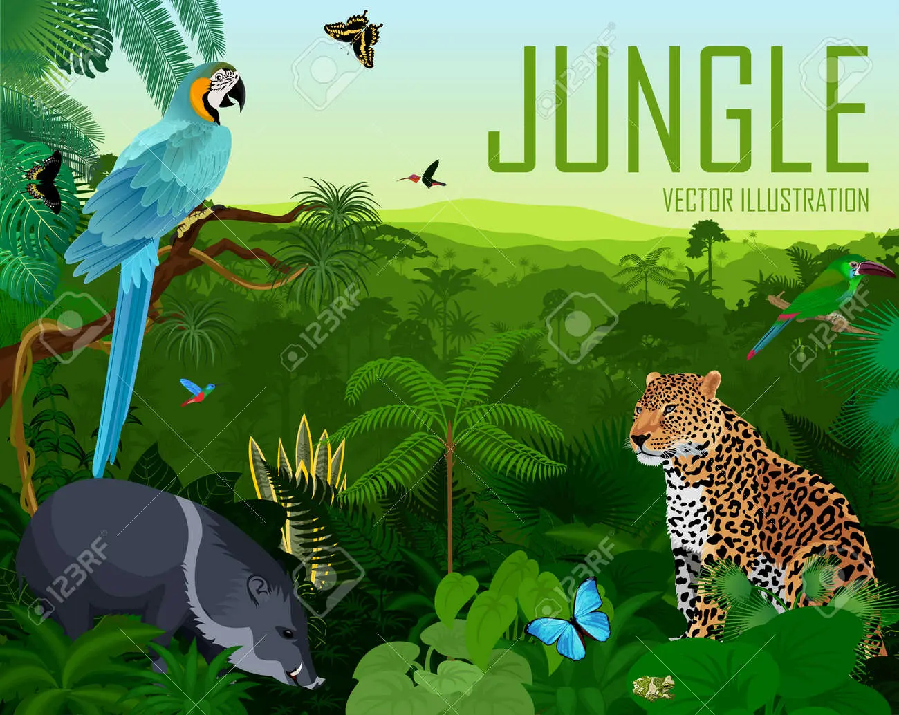 guacamayo y jaguar informacion en brasil - Qué es un jaguar en Brasil