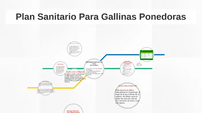 plan sanitario en aves de postura - Qué es un plan sanitario avícola