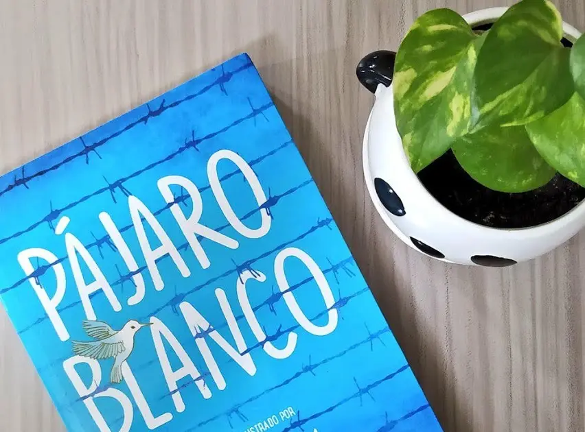 pájaro blanco raquel palacio - Que estudió Raquel Palacio